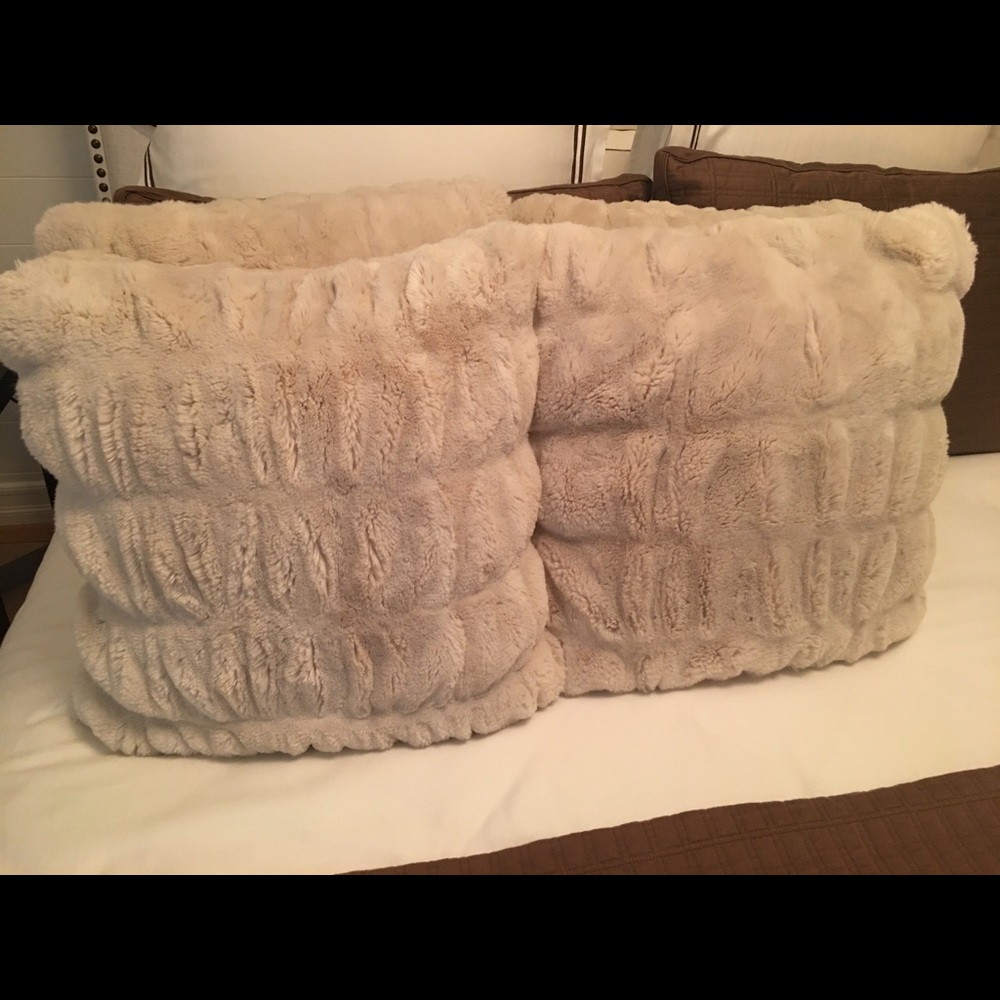 Pottery Barn Plush Pillows!!!